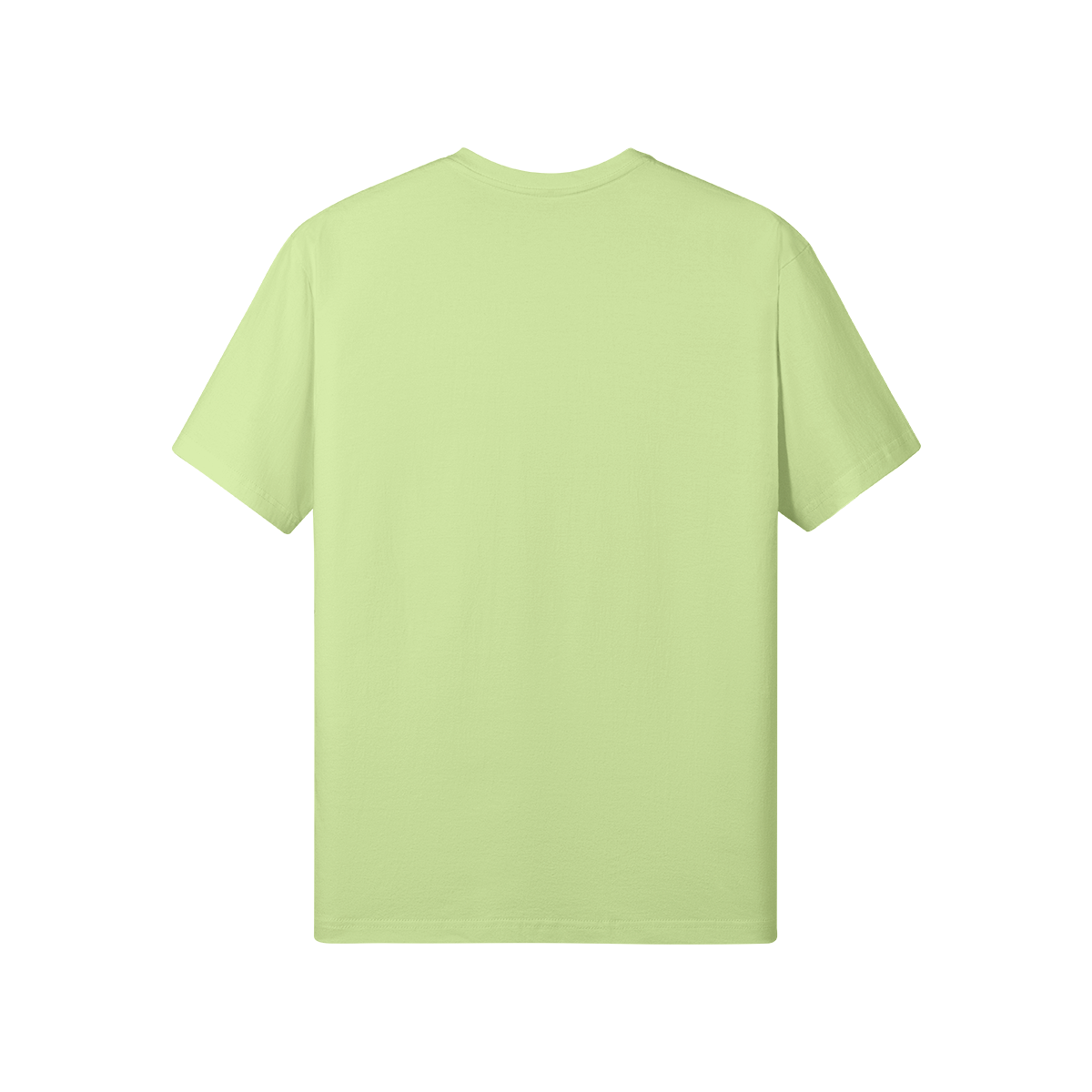 0-Y85-Back Side